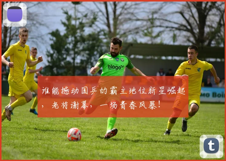 谁能撼动国乒的霸主地位新星崛起,老将谢幕,一场青春风暴!