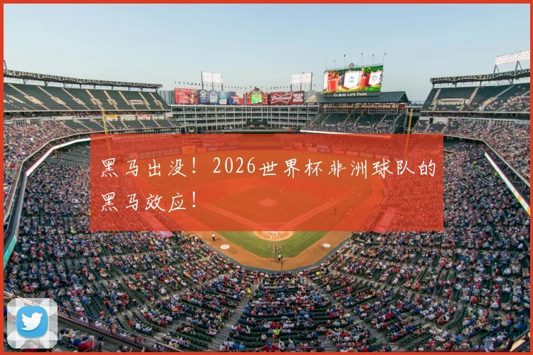 黑马出没!2026世界杯非洲球队的黑马效应!