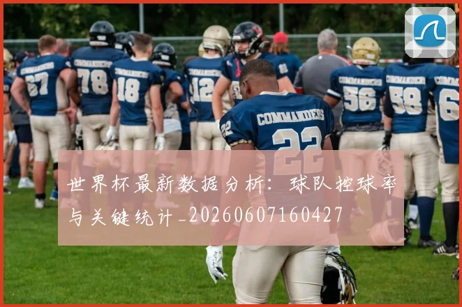 世界杯最新数据分析:球队控球率与关键统计_20260607160427
